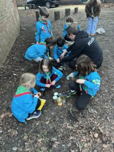 Sunflowers and bug hotels
